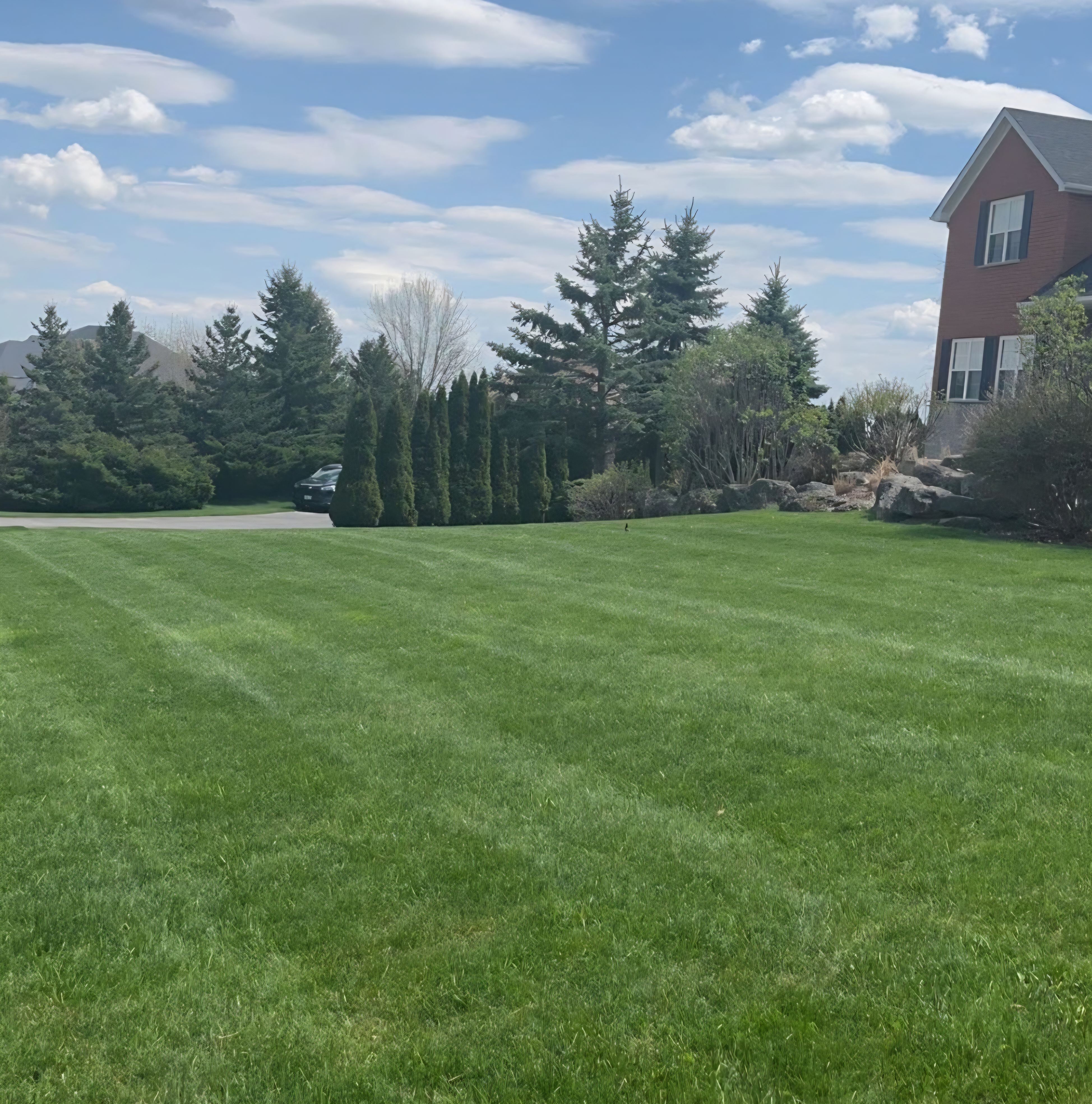 Lawn Care