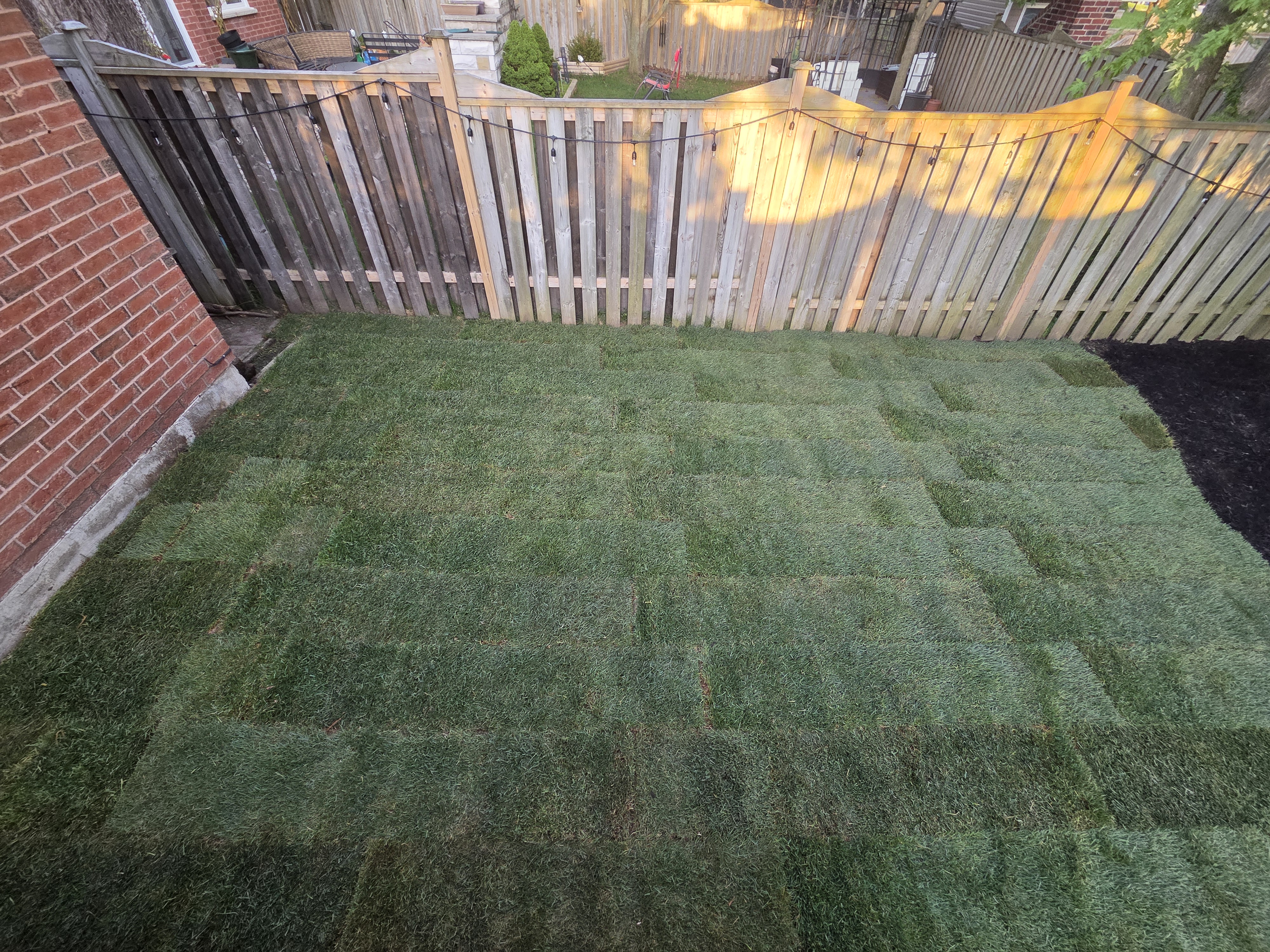 Sod Installation